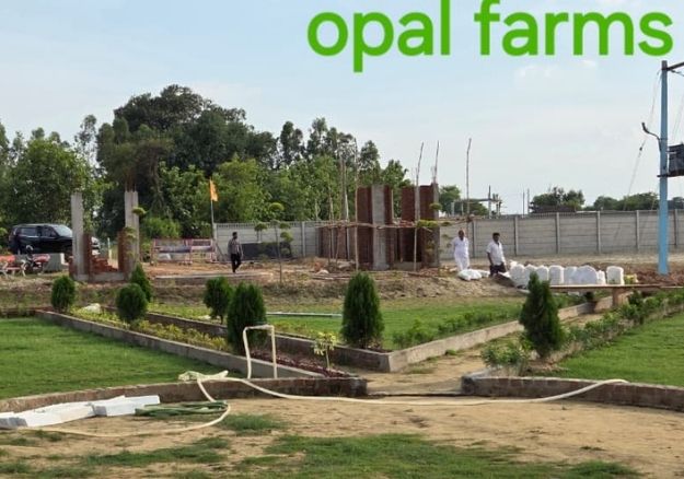 Opal Farms - inauguration event
